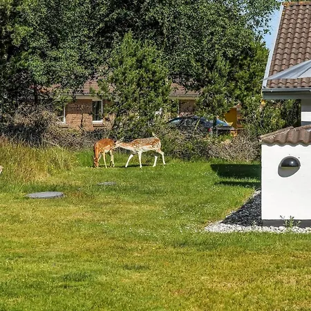 Bv334-blavand-sondertoften-23