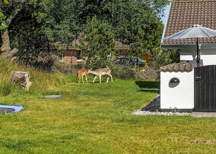 Bv334-blavand-sondertoften-23 *